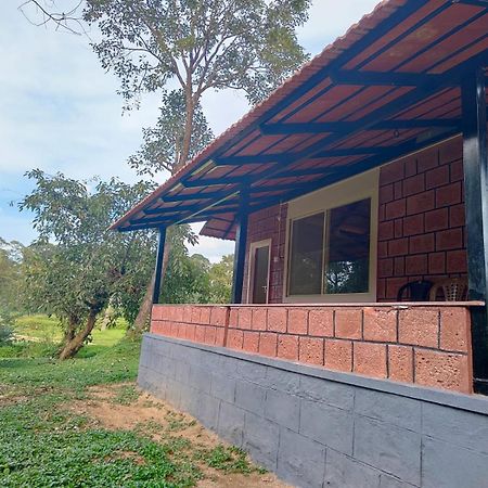 Nature Spot Cottages Coorg Kurchi Extérieur photo