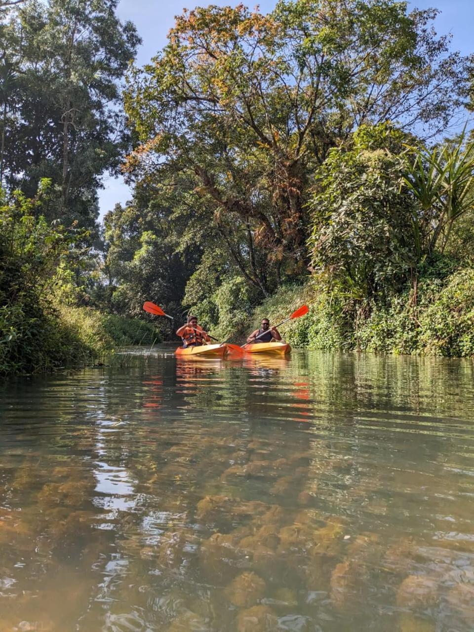 Nature Spot Cottages Coorg Kurchi Extérieur photo