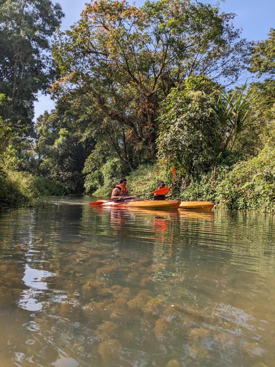 Nature Spot Cottages Coorg Kurchi Extérieur photo